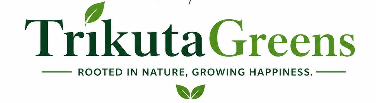 cropped cropped logo.png